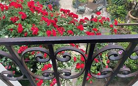 La Maison Des Augustins 4 Stars Spa Et Fitness