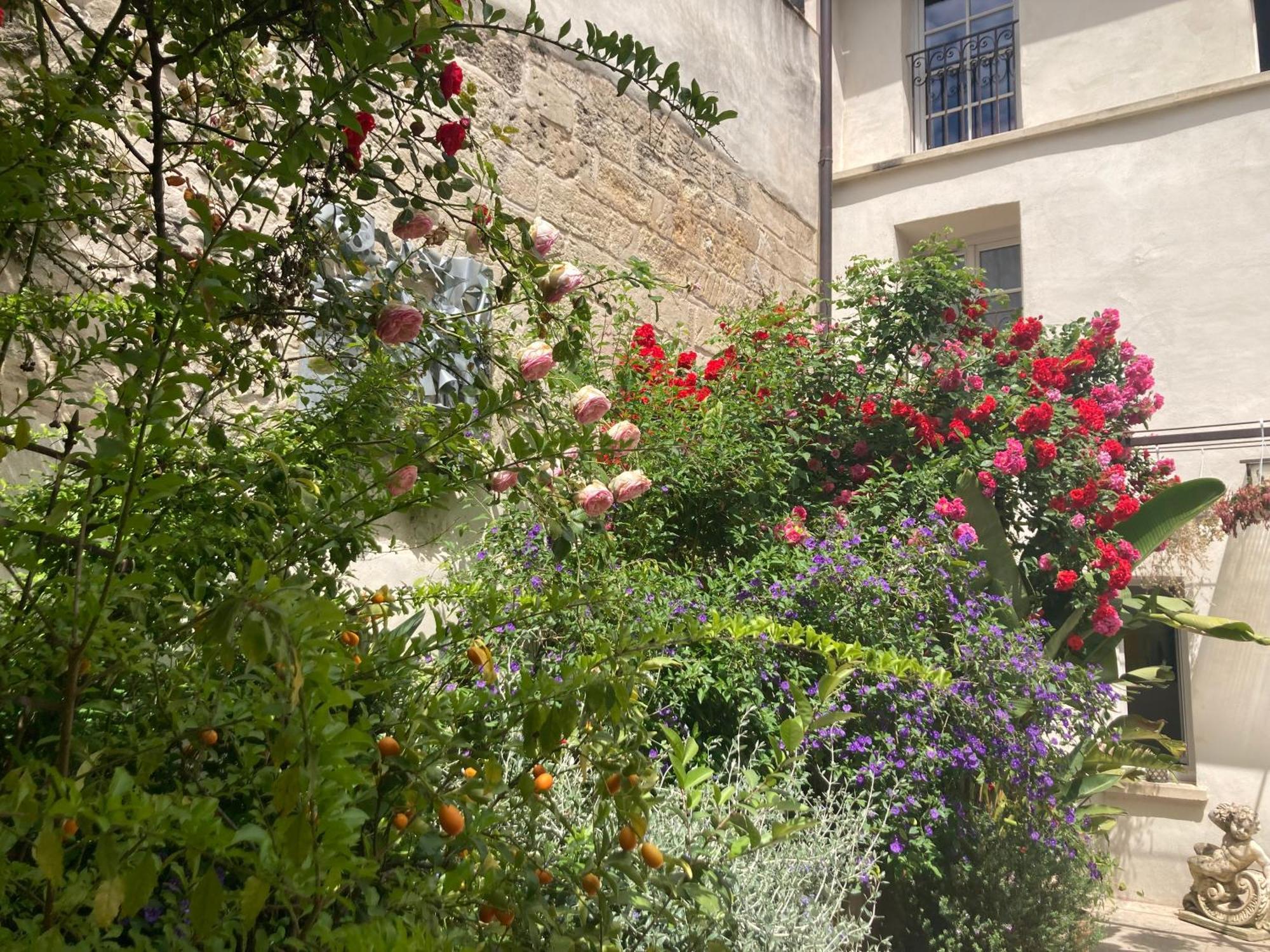 La Maison Des Augustins 4 Stars Spa Et Fitness Avignone Esterno foto
