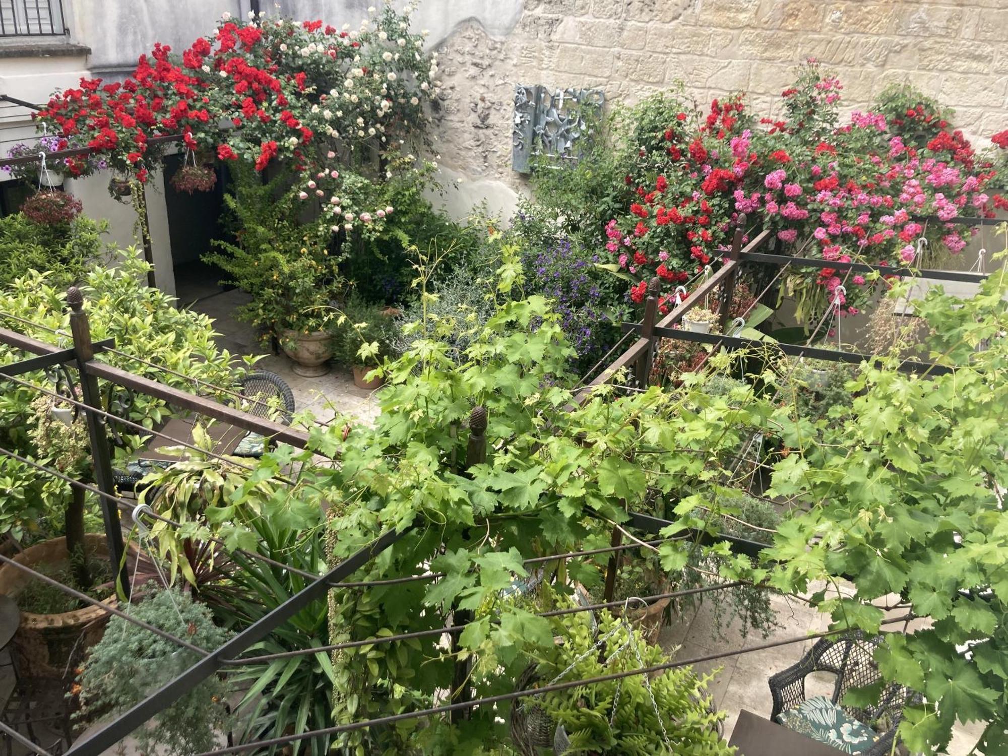 La Maison Des Augustins 4 Stars Spa Et Fitness Avignone Camera foto